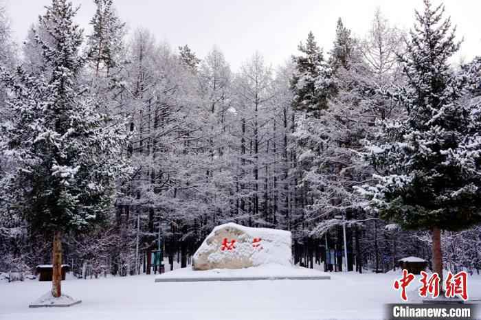 树枝上挂满了雪花。　王景阳 摄