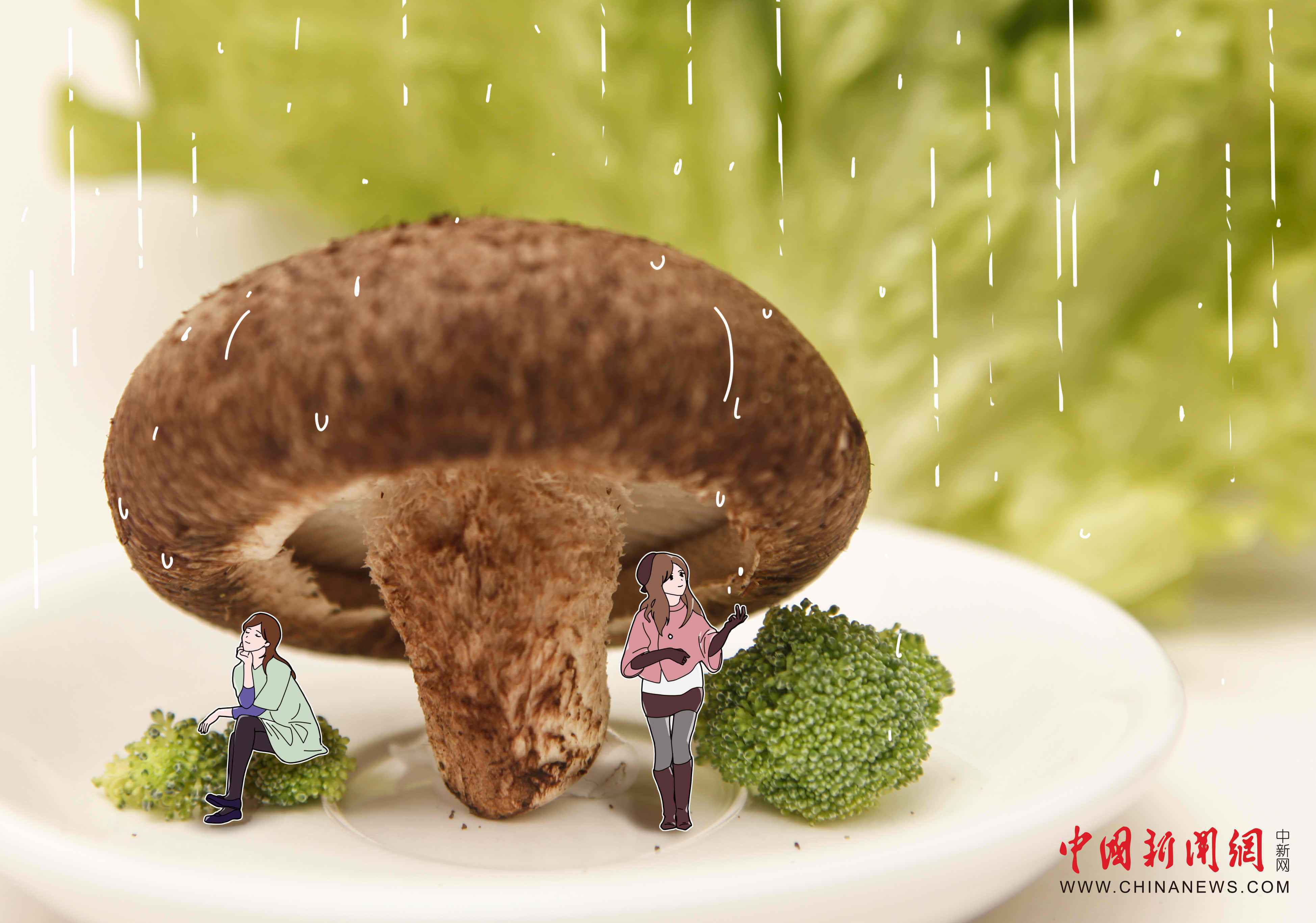  只要创意响当当，厨房里有好春光