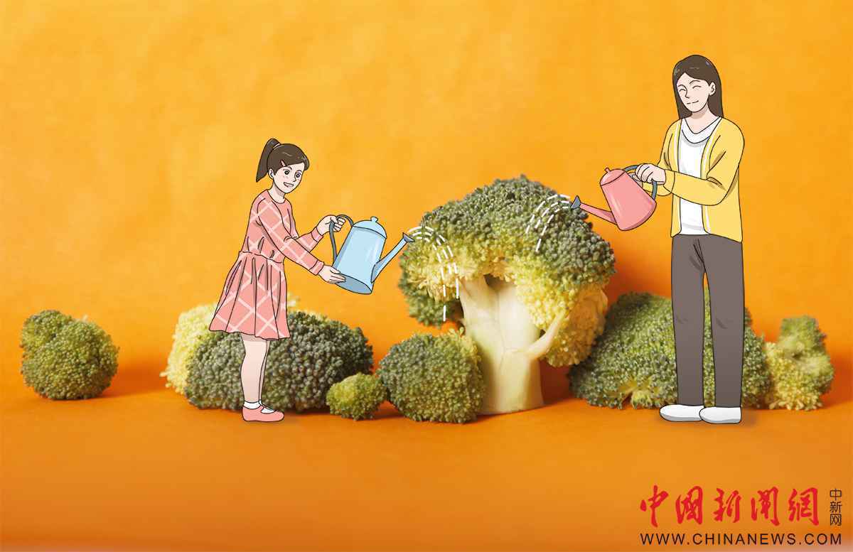  只要创意响当当，厨房里有好春光