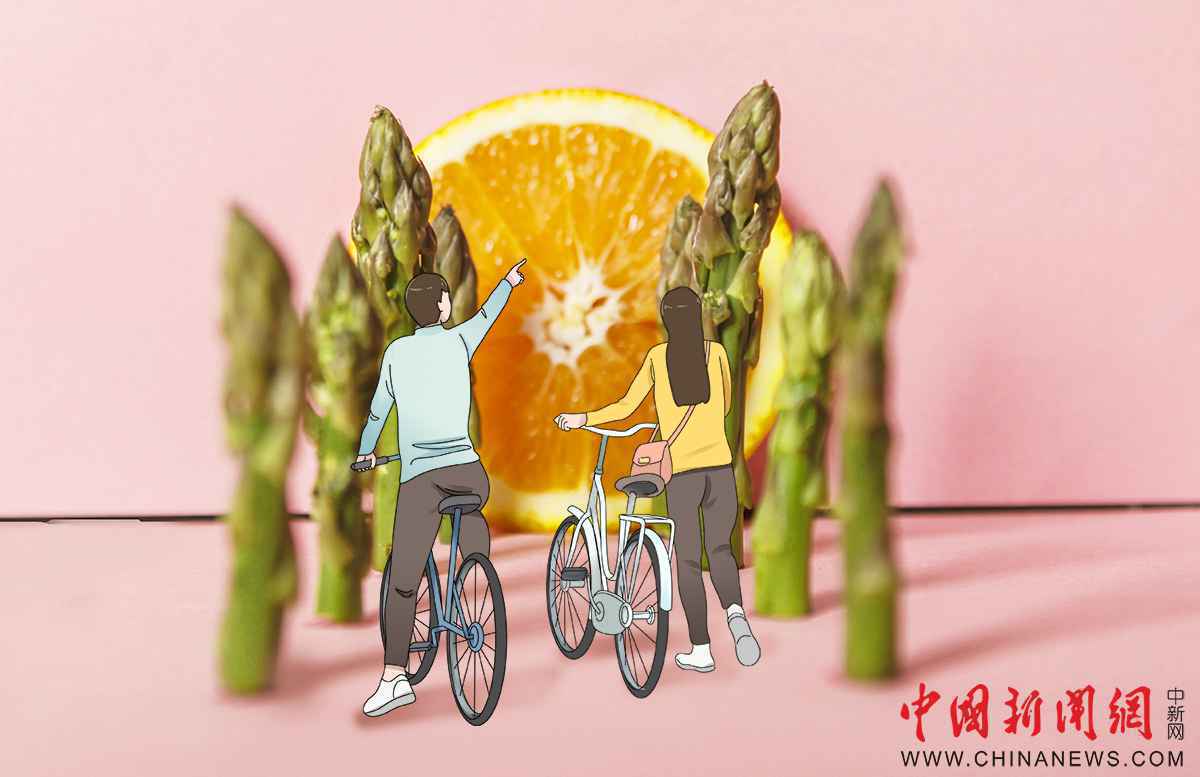  只要创意响当当，厨房里有好春光