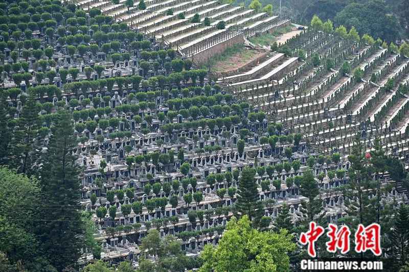  代客祭扫的“95后”小哥哥：这份工作是在行善性善