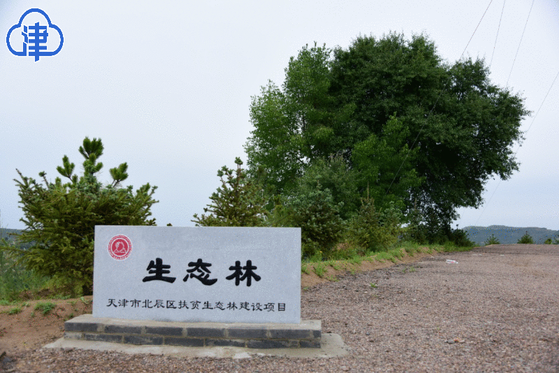 脱贫摘帽的甘肃华池县：借助“天津气力” 谱写出一部“山海情”