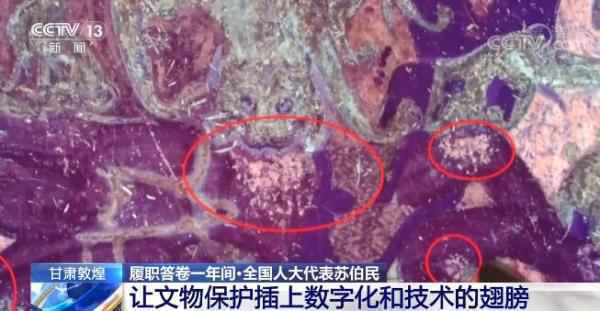 【履职答卷一年间】全国人大代表苏伯民：让文物掩护插上数字化和技