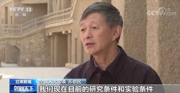 【履职答卷一年间】全国人大代表苏伯民：让文物掩护插上数字化和技