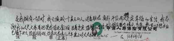 保单上的情书