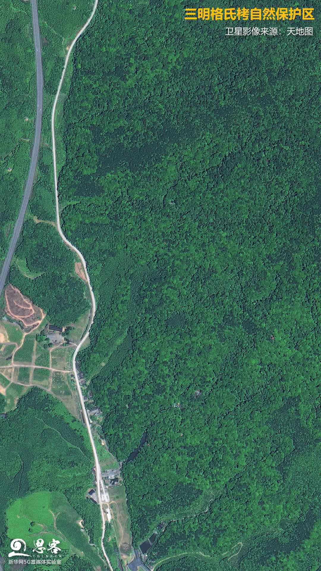 卫星汇报你，“中国最绿”省份的“绿”是怎么来的