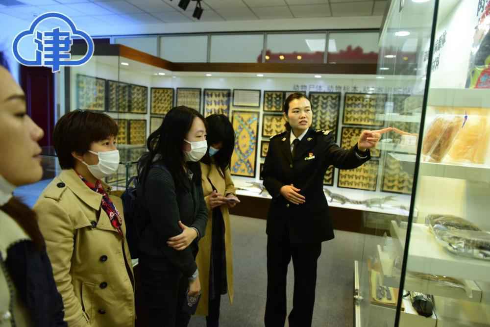 多肉植物能否从境外携带入境？如何选购入口食品？天津海关多项法子