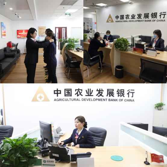 农发行天津市分行营业部积极推进“我为群众办实事”活动
