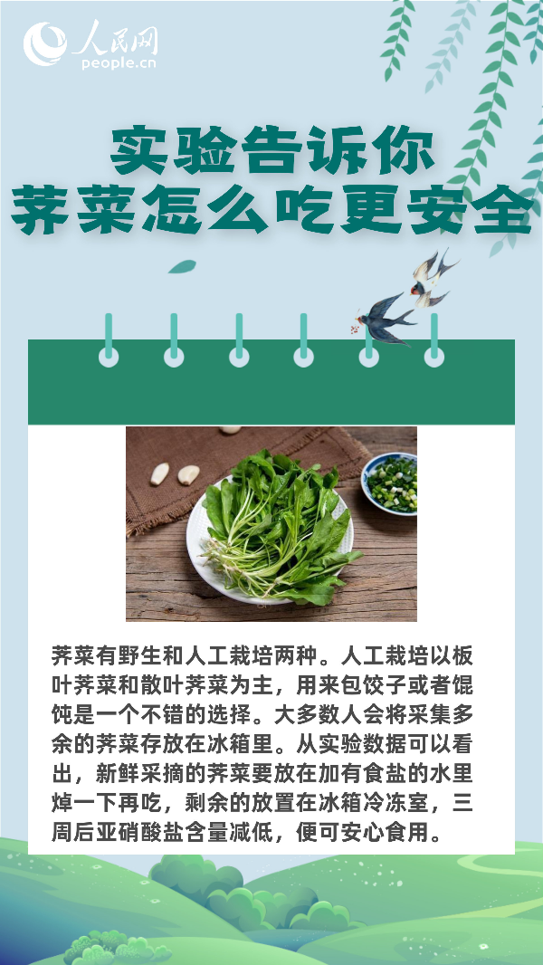 尝试汇报你：荠菜怎么吃更安详