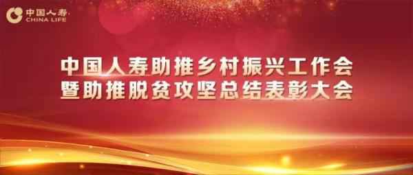 中国人寿召开助推村子振兴事情会暨助推脱贫攻坚总结表扬大会