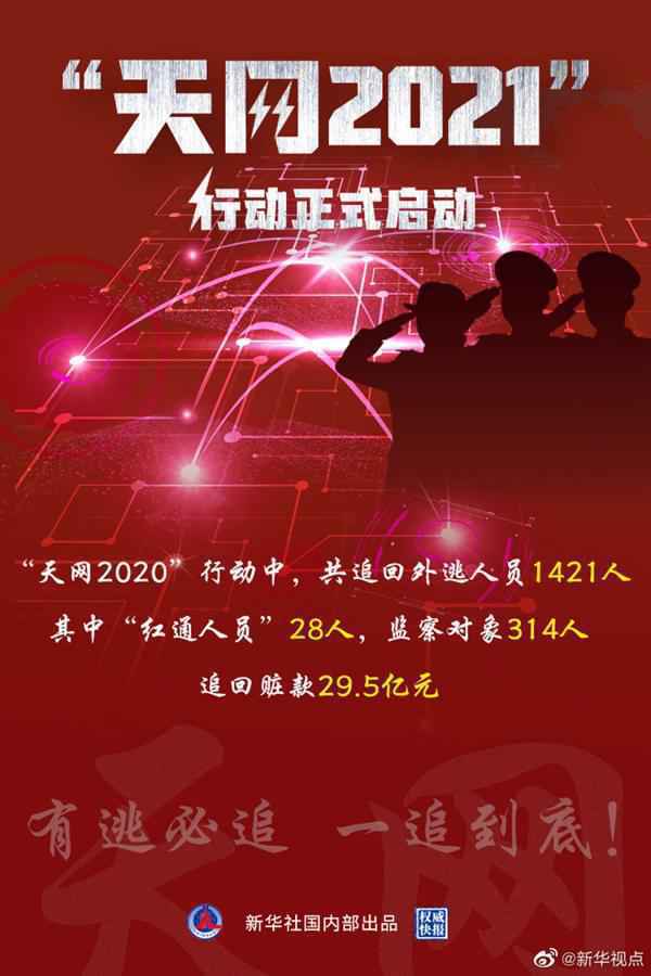 始终保持高压态势 “天网2021”动作正式启动
