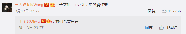 王子文孩子奶名芽菜 王子文认可后获网友祝福