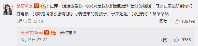 王子文孩子奶名芽菜 王子文认可后获网友祝福