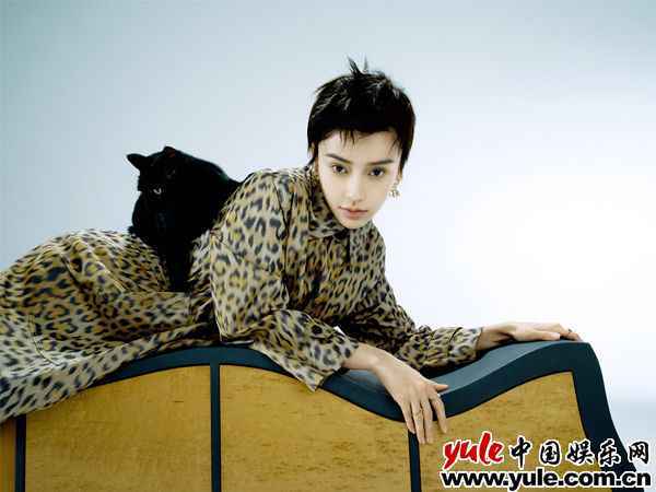 Angelababy豹纹外套漂亮复古 Angelababy七登封面 短发与黑猫尽显神秘慵懒