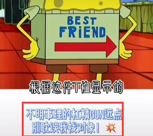 宋美娜否定与王思聪恋情 称两人是纯友谊别延长她找工具