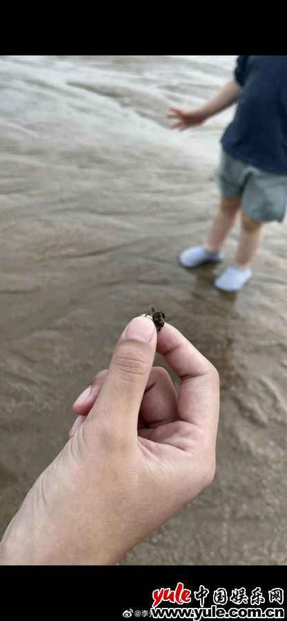 照片2 李光洁晒一家三口赶海照 手握“巨蟹”引网友调侃