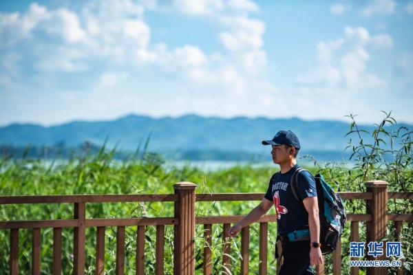 夏日草海景如画